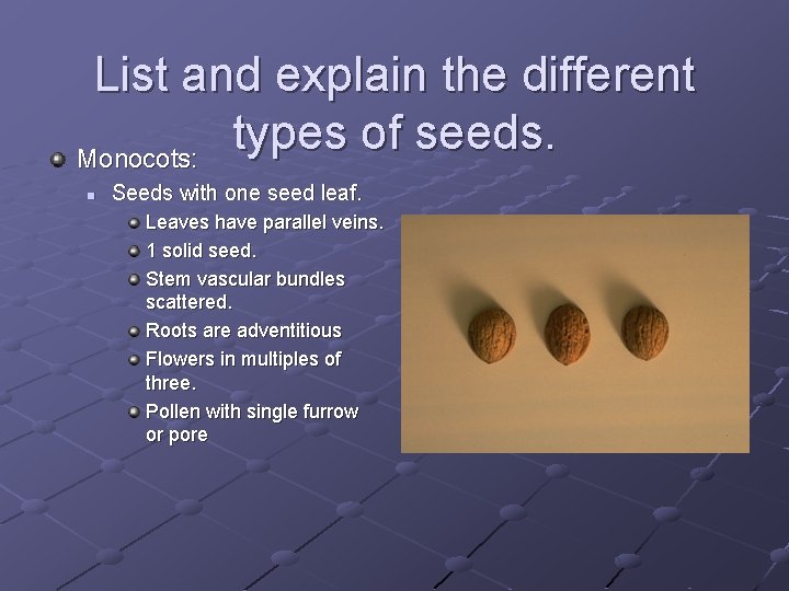 List and explain the different types of seeds. Monocots: n Seeds with one seed