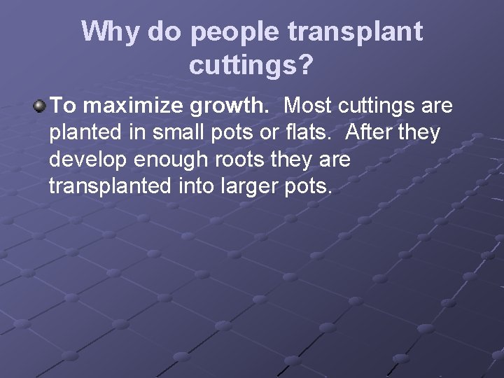 Why do people transplant cuttings? To maximize growth. Most cuttings are planted in small