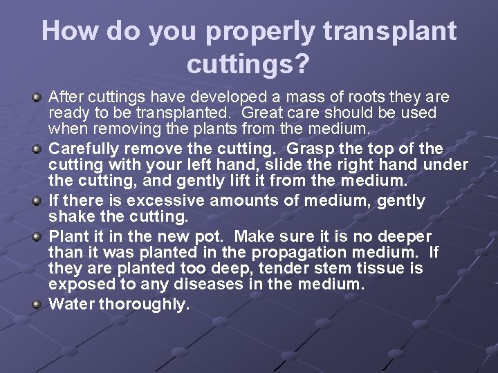 How do you properly transplant cuttings? After cuttings have developed a mass of roots