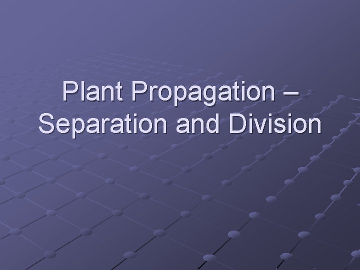 Plant Propagation – Separation and Division 