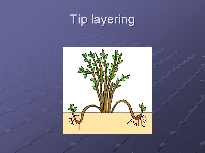 Tip layering 