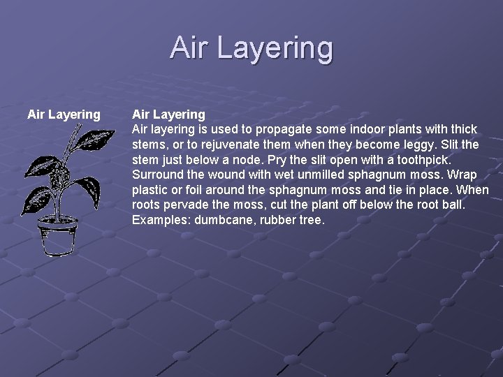 Air Layering Air Layering Air layering is used to propagate some indoor plants with