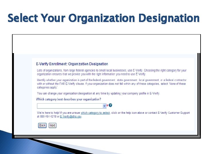 Select Your Organization Designation 