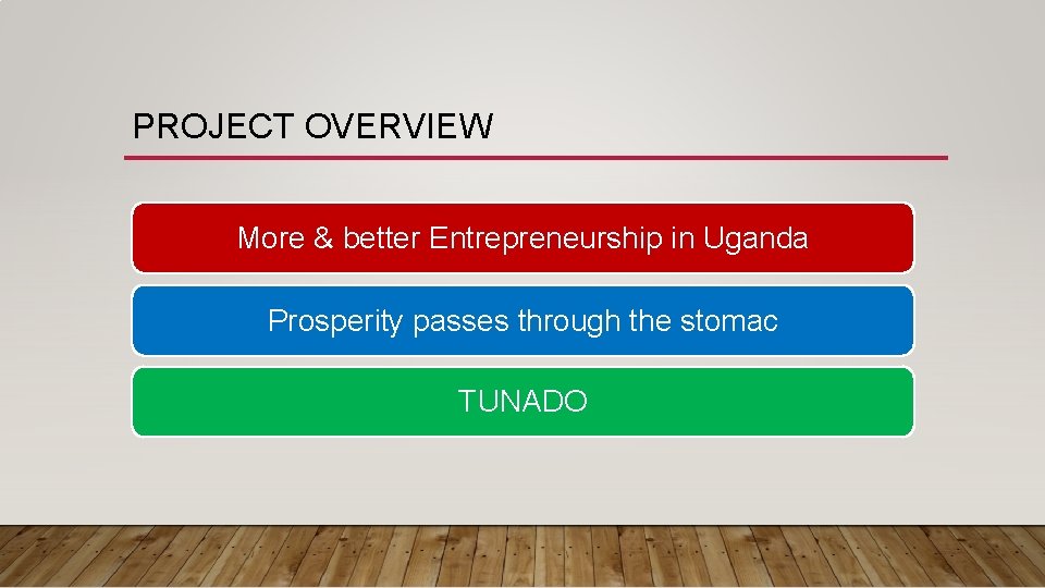 PROJECT OVERVIEW More & better Entrepreneurship in Uganda Prosperity passes through the stomac TUNADO