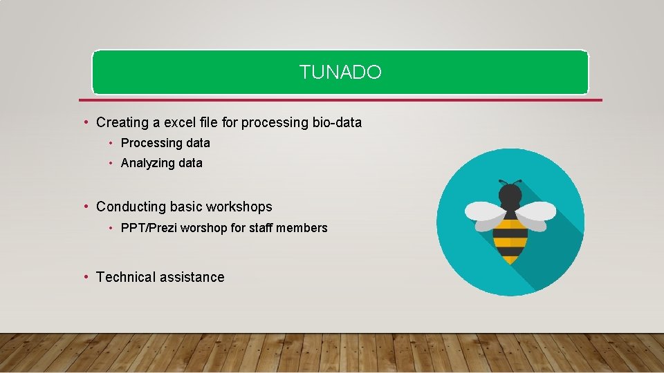 TUNADO • Creating a excel file for processing bio-data • Processing data • Analyzing