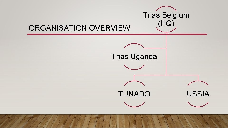 ORGANISATION OVERVIEW Trias Belgium (HQ) Trias Uganda TUNADO USSIA 
