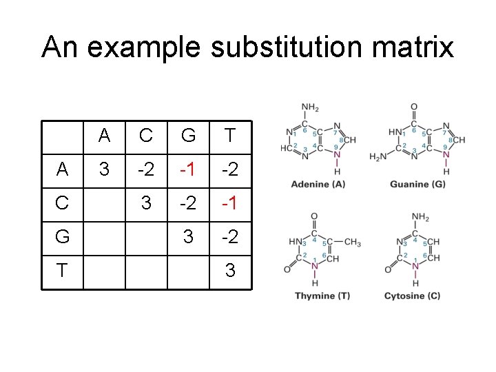 An example substitution matrix A C G T 3 -2 -1 -2 3 -2