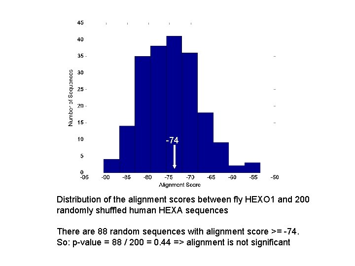 -74 Distribution of the alignment scores between fly HEXO 1 and 200 randomly shuffled