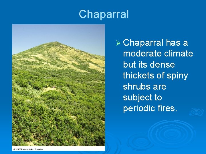 Chaparral Ø Chaparral has a moderate climate but its dense thickets of spiny shrubs