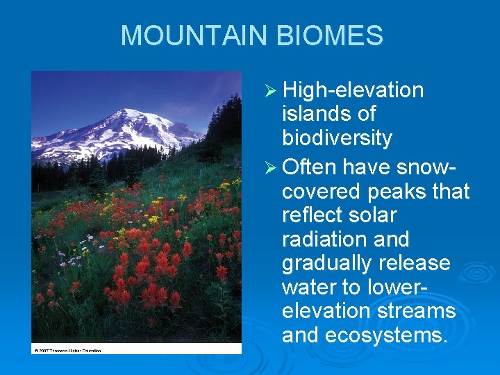 MOUNTAIN BIOMES Ø High-elevation islands of biodiversity Ø Often have snowcovered peaks that reflect