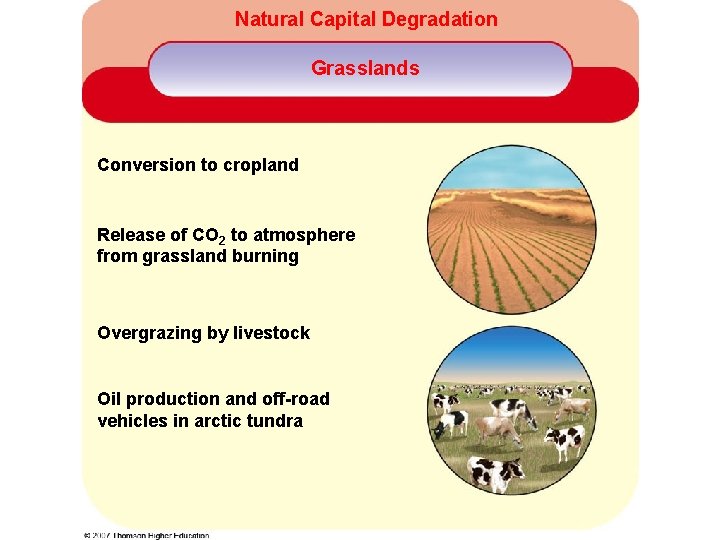 Natural Capital Degradation Grasslands Conversion to cropland Release of CO 2 to atmosphere from