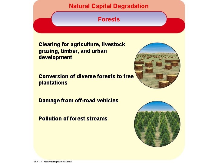 Natural Capital Degradation Forests Clearing for agriculture, livestock grazing, timber, and urban development Conversion