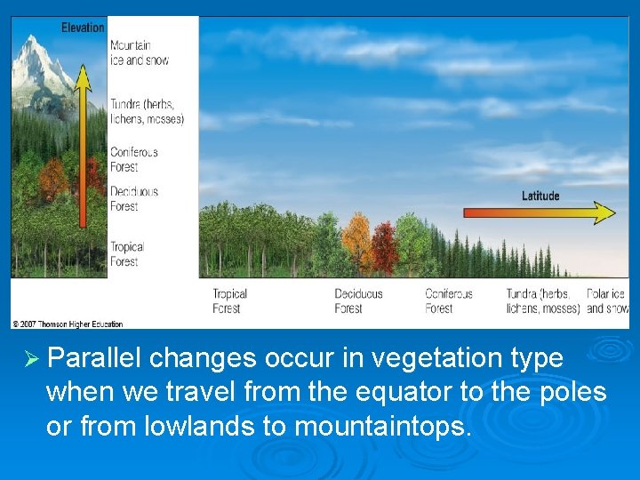 Ø Parallel changes occur in vegetation type when we travel from the equator to