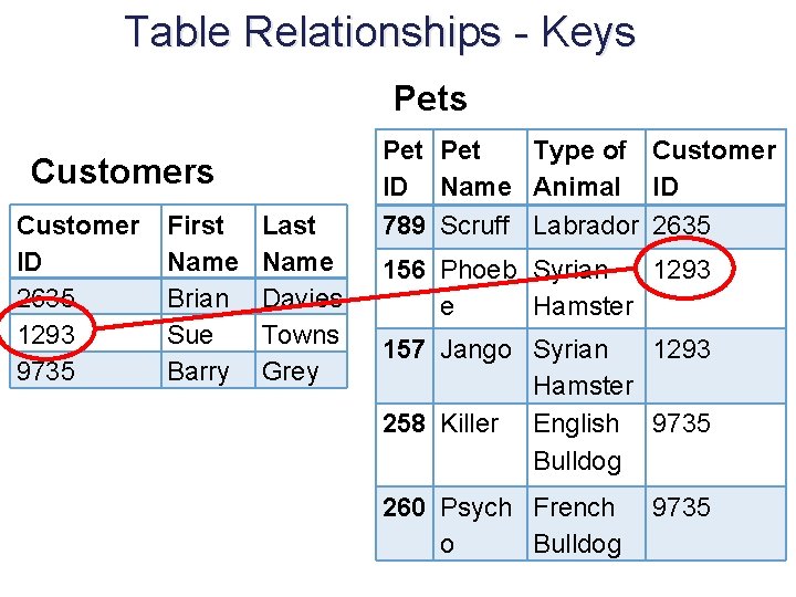 Table Relationships - Keys Pets Customer ID 2635 1293 9735 First Name Brian Sue Table Relationships - Keys Pets Customer ID 2635 1293 9735 First Name Brian Sue
