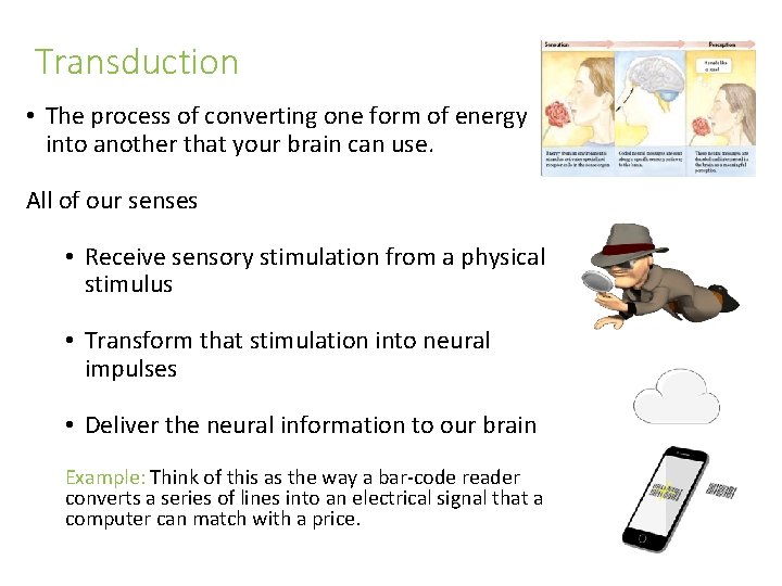 Transduction • The process of converting one form of energy into another that your Transduction • The process of converting one form of energy into another that your
