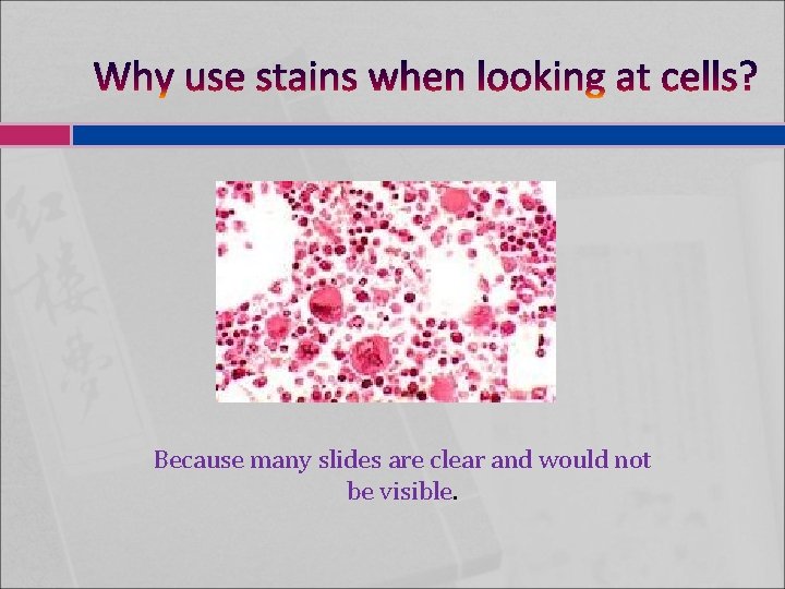 Why use stains when looking at cells? Because many slides are clear and would