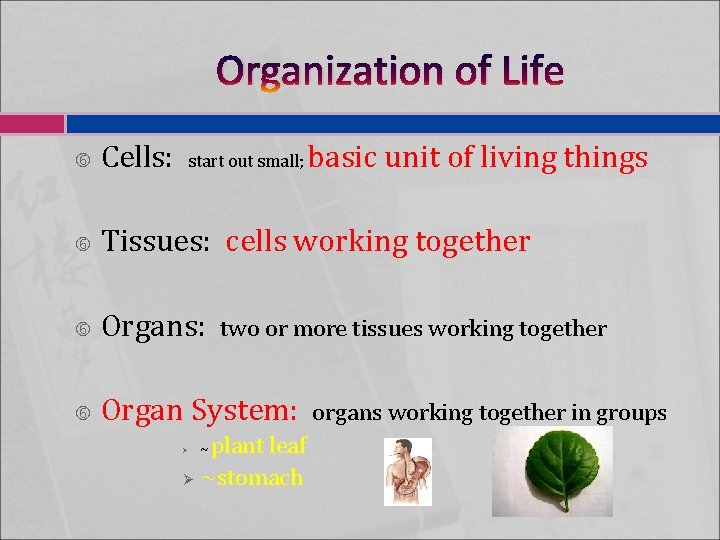 Organization of Life Cells: Tissues: cells working together Organs: Organ System: start out small;