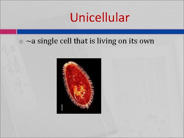 Unicellular ~a single cell that is living on its own 