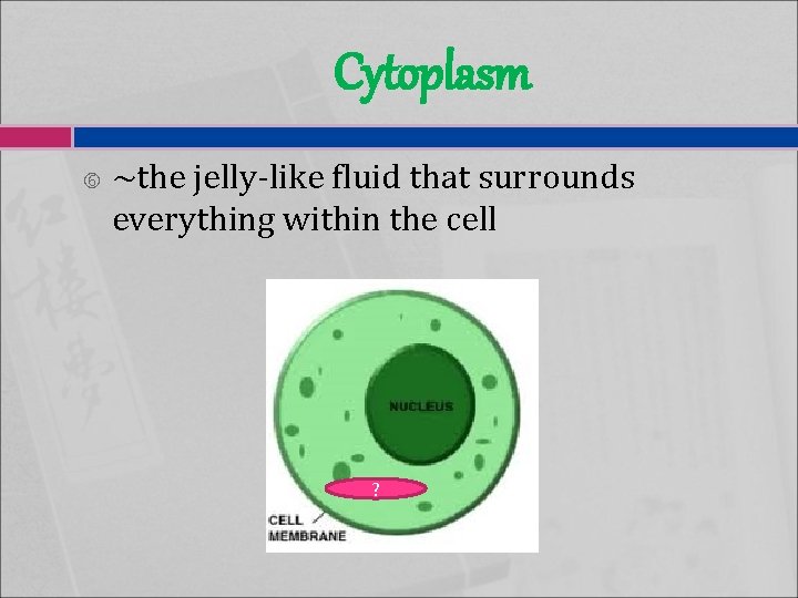 Cytoplasm ~the jelly-like fluid that surrounds everything within the cell ? 