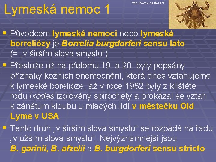 Lymeská nemoc 1 http: //www. pasteur. fr § Původcem lymeské nemoci nebo lymeské borreliózy