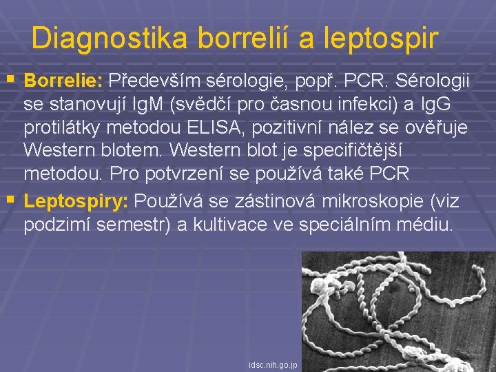 Diagnostika borrelií a leptospir § Borrelie: Především sérologie, popř. PCR. Sérologii se stanovují Ig.