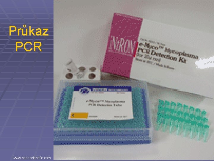 Průkaz PCR www. bocascientific. com 