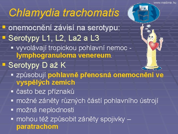 www. medimix. hu Chlamydia trachomatis § onemocnění závisí na serotypu: § Serotypy L 1,