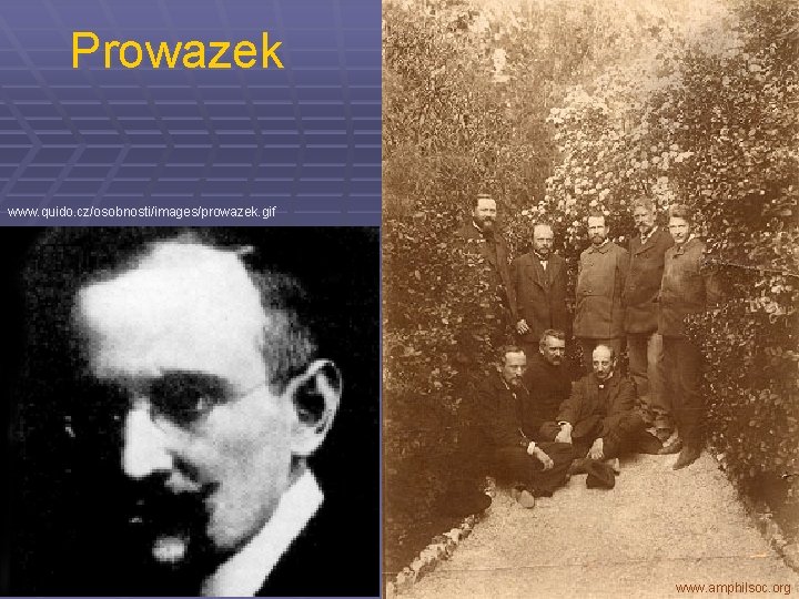 Prowazek www. quido. cz/osobnosti/images/prowazek. gif www. amphilsoc. org 