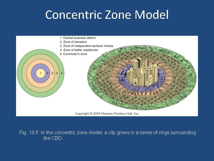 Concentric Zone Model Fig. 13 -5: In the concentric zone model, a city grows