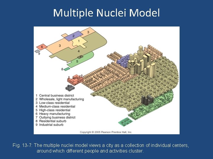 Multiple Nuclei Model Fig. 13 -7: The multiple nuclei model views a city as