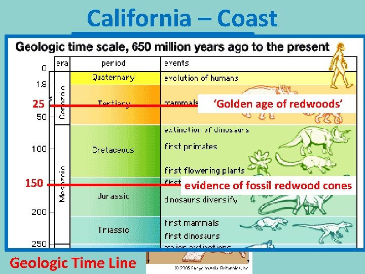 California – Coast most recent 250 million years 25 150 Geologic Time Line ‘Golden