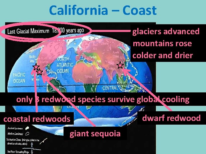 California – Coast glaciers advanced warm & humid mountains rose colder and drier only
