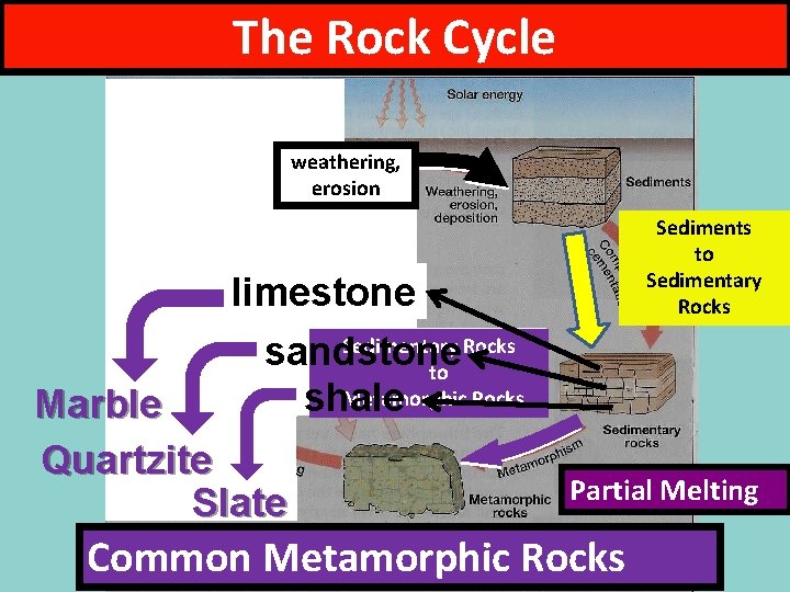 The Rock Cycle weathering, erosion Sediments to Sedimentary Rocks limestone Sedimentary Rocks sandstone to