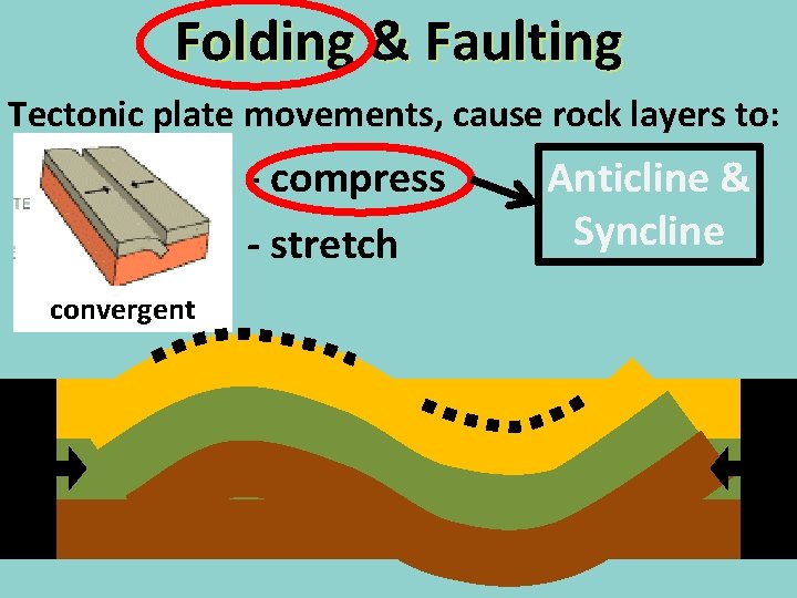 Folding & Faulting Tectonic plate movements, cause rock layers to: - compress - stretch