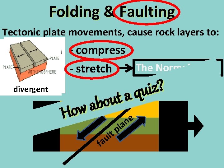 Folding & Faulting Tectonic plate movements, cause rock layers to: - compress The Normal