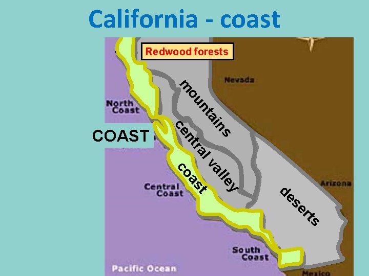 California - coast Redwood forests nt ce ra y er lle n. Ssi ahi