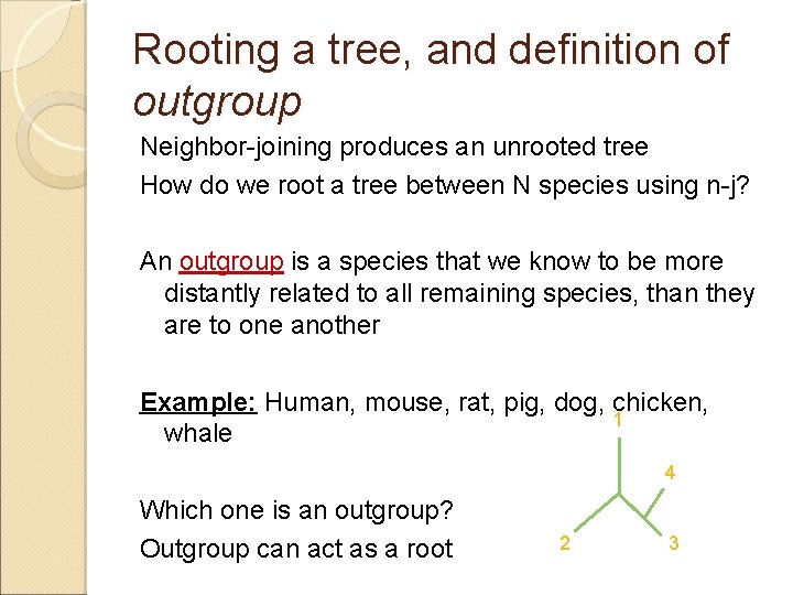 Rooting a tree, and definition of outgroup Neighbor-joining produces an unrooted tree How do