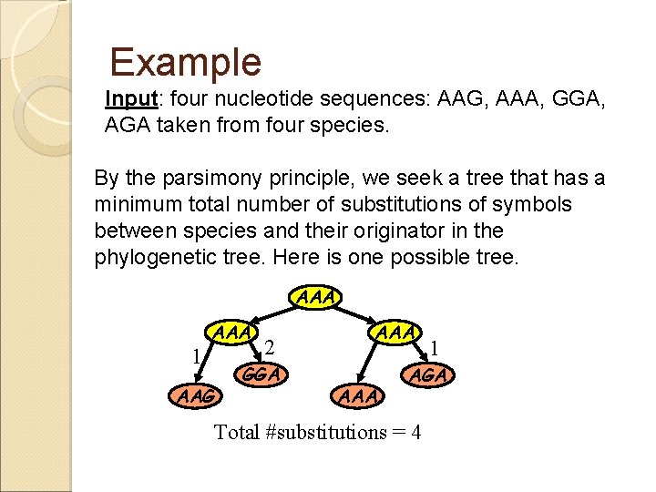 Example Input: four nucleotide sequences: AAG, AAA, GGA, AGA taken from four species. By