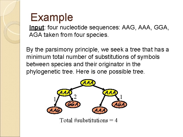 Example Input: four nucleotide sequences: AAG, AAA, GGA, AGA taken from four species. By Example Input: four nucleotide sequences: AAG, AAA, GGA, AGA taken from four species. By