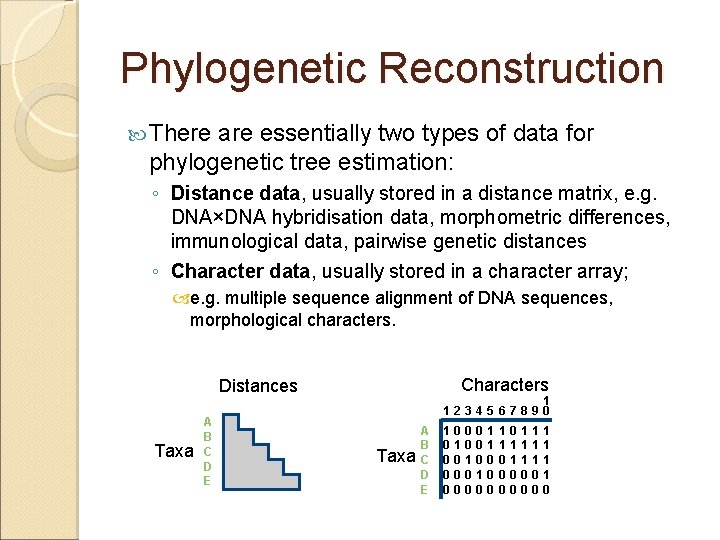 Phylogenetic Reconstruction There are essentially two types of data for phylogenetic tree estimation: ◦