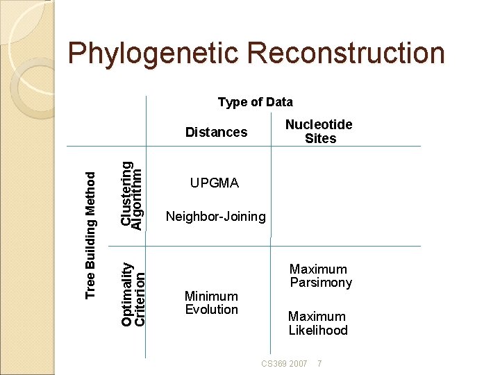 Phylogenetic Reconstruction Type of Data Nucleotide Sites Clustering Algorithm Optimality Criterion Tree Building Method