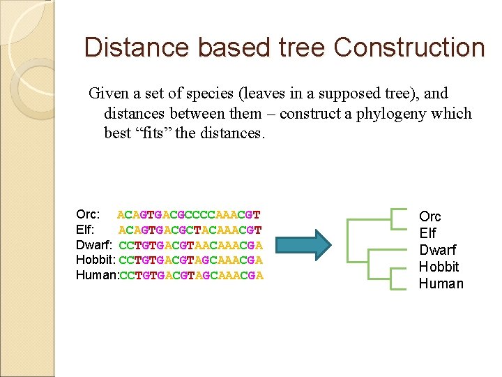 Distance based tree Construction Given a set of species (leaves in a supposed tree),
