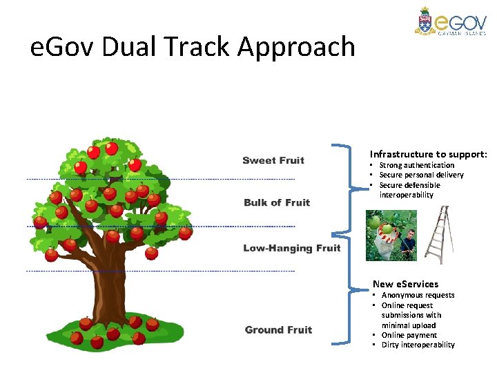 e. Gov Dual Track Approach Infrastructure to support: • Strong authentication • Secure personal