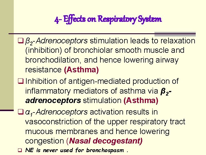 4 - Effects on Respiratory System q β 2 -Adrenoceptors stimulation leads to relaxation