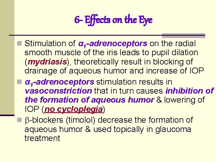 6 - Effects on the Eye n Stimulation of α 1 -adrenoceptors on the