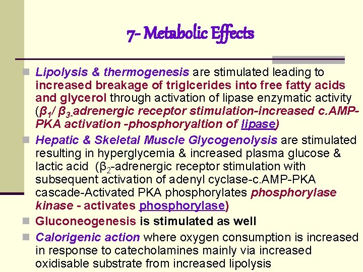 7 - Metabolic Effects n Lipolysis & thermogenesis are stimulated leading to increased breakage