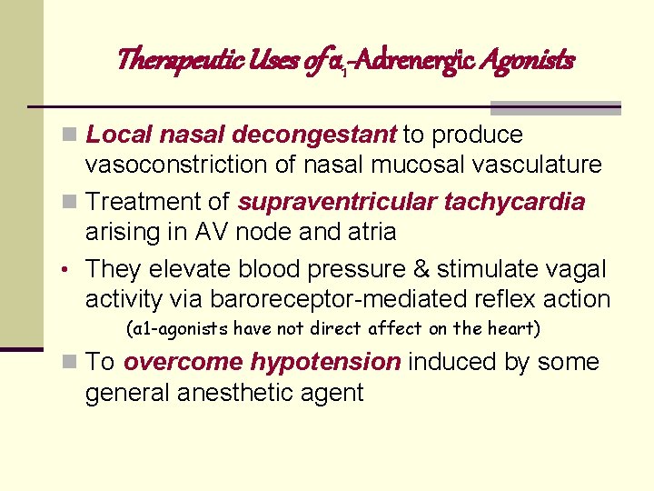 Therapeutic Uses of α 1 -Adrenergic Agonists n Local nasal decongestant to produce vasoconstriction