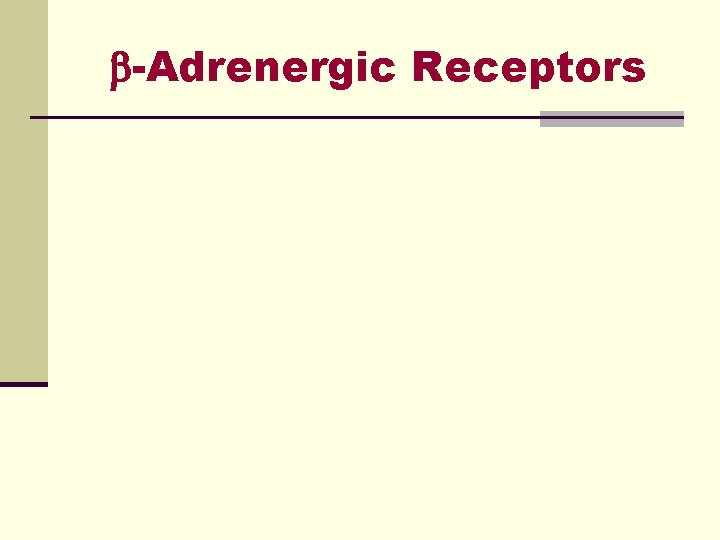  -Adrenergic Receptors 