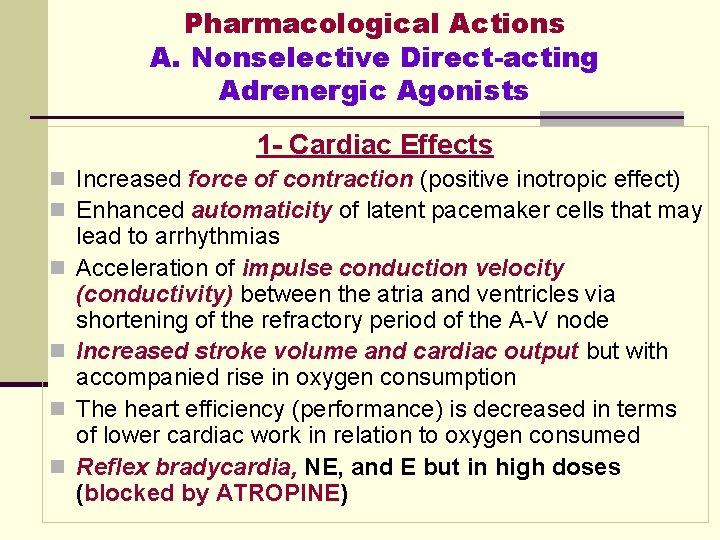 Pharmacological Actions A. Nonselective Direct-acting Adrenergic Agonists 1 - Cardiac Effects n Increased force