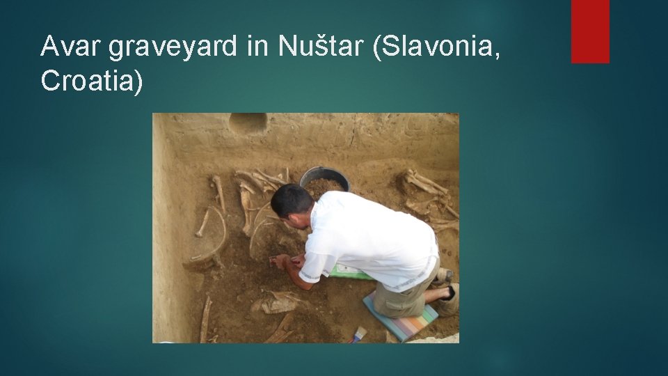 Avar graveyard in Nuštar (Slavonia, Croatia) 